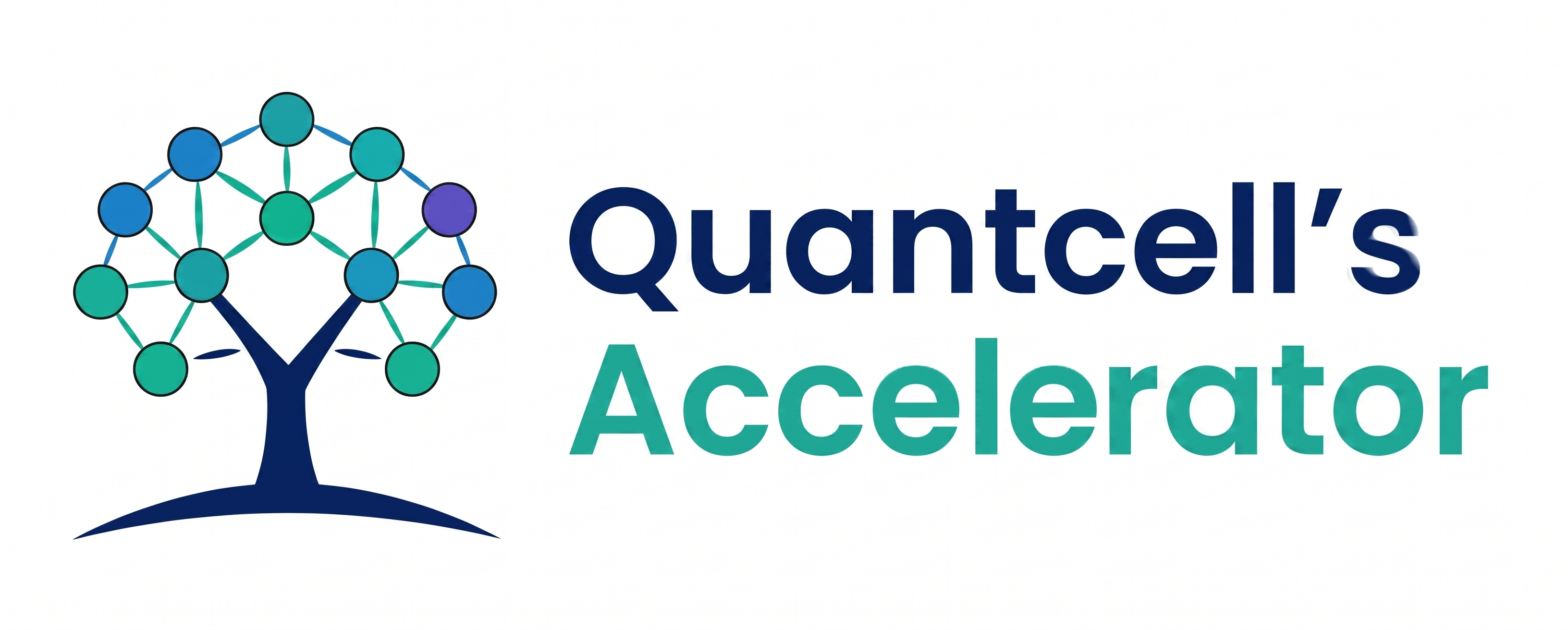 Quantcell's Accelerator